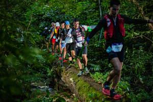 BIB: 9543, 
                            <button type="button" onclick="openModal(18922901)" class="btn btn-primary btn-sm float-right btn-popup" data-toggle="modal" data-target=".modal-high-quality">
                        <i class="fas fa-shopping-cart"></i> Add to Cart
                    </button>
                                            <button type="button" onclick="isThisMe(18922901, true)" class="btn btn-success btn-sm float-right btn-popup btn-isme hidden" data-toggle="tooltip" data-placement="bottom" title="นี่คือรูปของคุณใช่ไหม คลิกที่นี่เพื่อเอาเข้าอัลบั้ม">
                        <i class="fas fa-plus"></i> Add to album
                    </button>
                    <button type="button" onclick="isThisMe(18922901, false)" class="btn btn-warning btn-sm float-right btn-popup btn-isnotme hidden">
                        <i class="fas fa-ban"></i> Remove from album
                    </button>